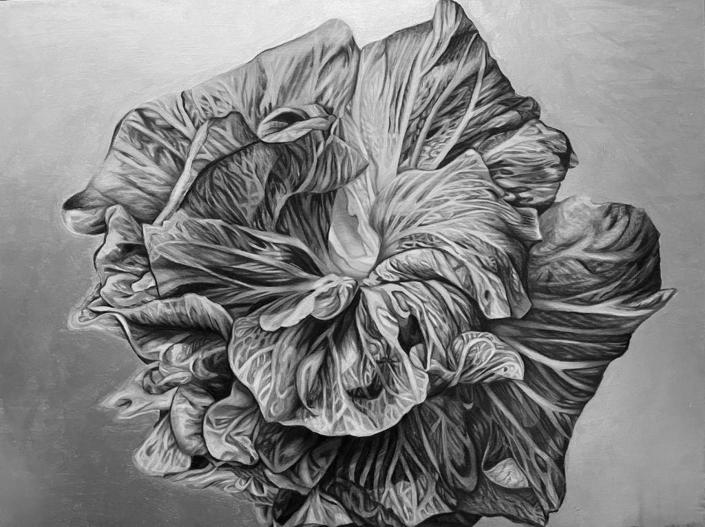 Detailed black and white painting of a large ruffled flower bloom